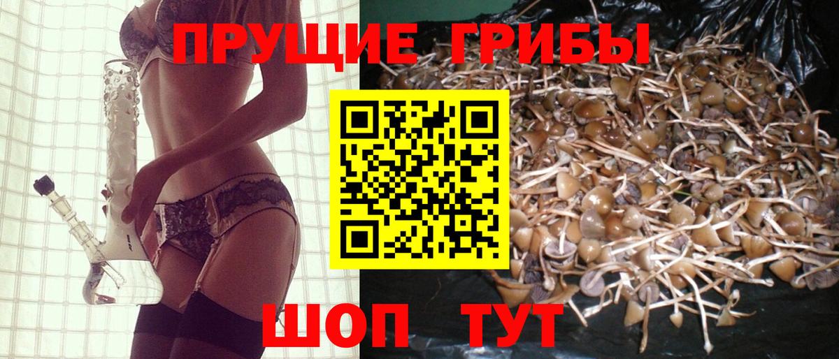 Псилоцибиновые грибы GOLDEN TEACHER  Псилоцибиновые грибы мухоморы  Дивногорск  Вход с VPN 